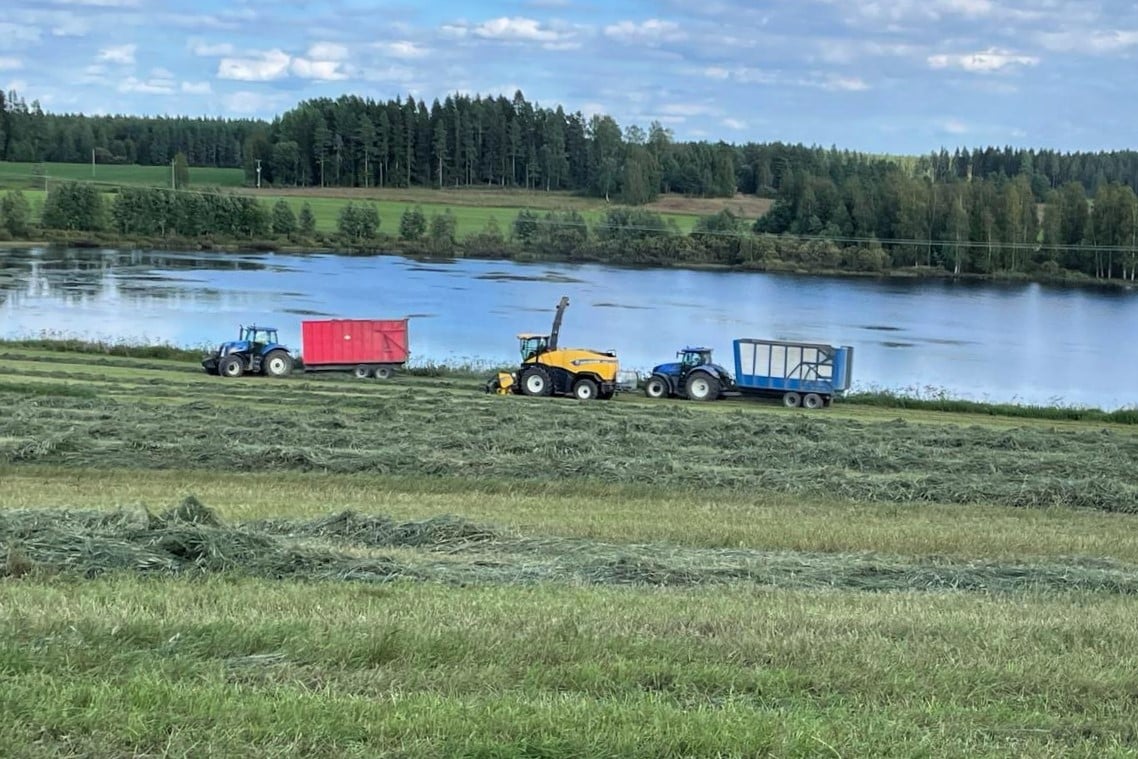 AgritekMakiPollari03