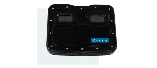 Raven_VSN_web