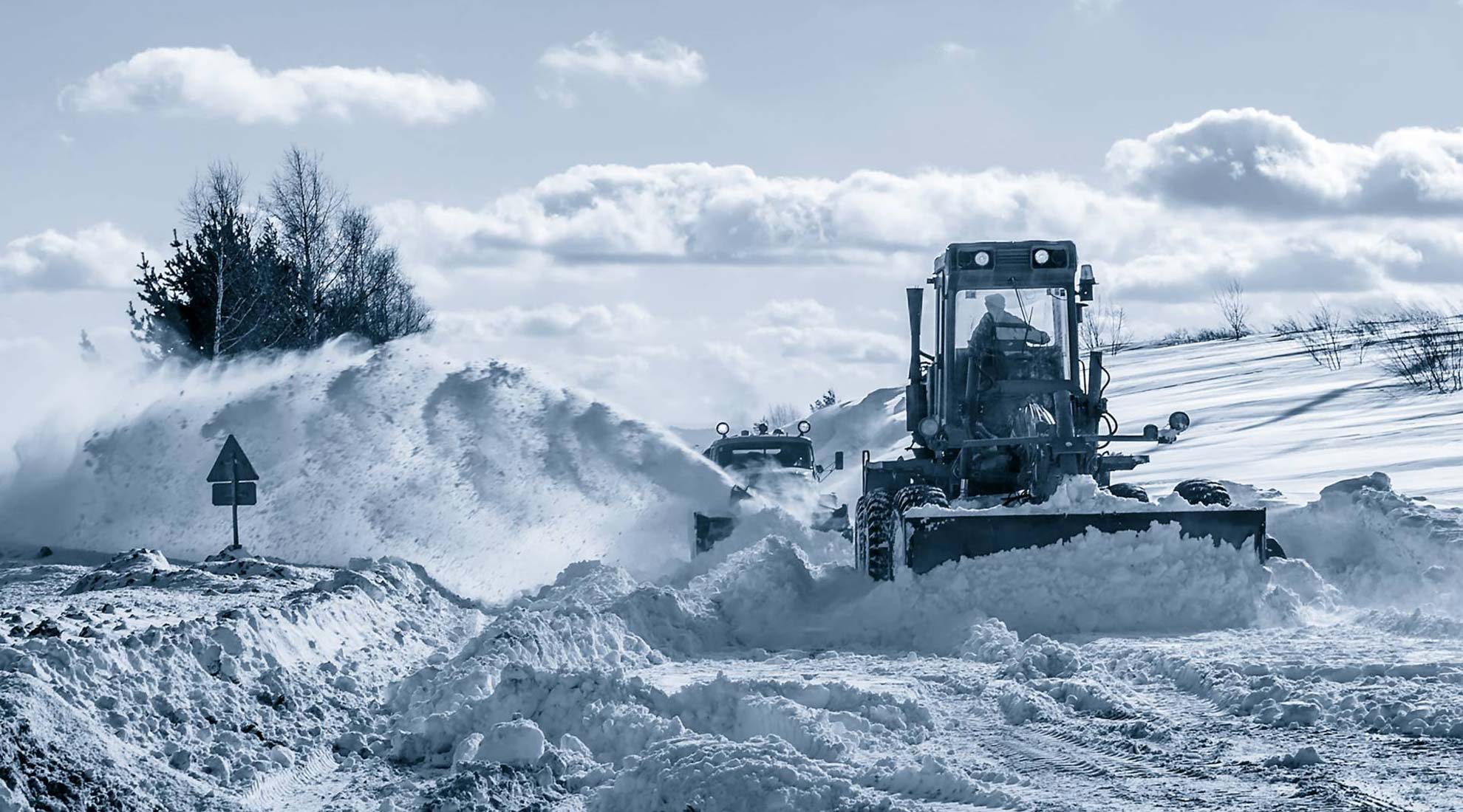 trygg_ketjut_1980 (2)