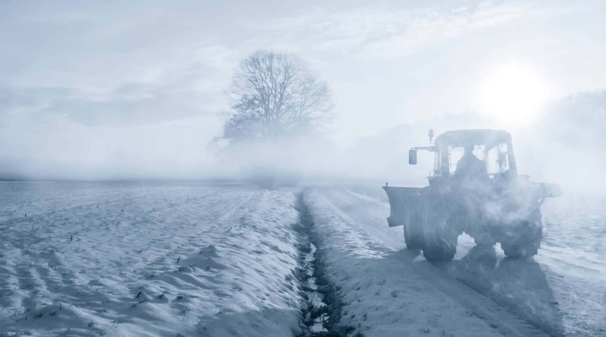 trygg_ketjut_1980 (5)