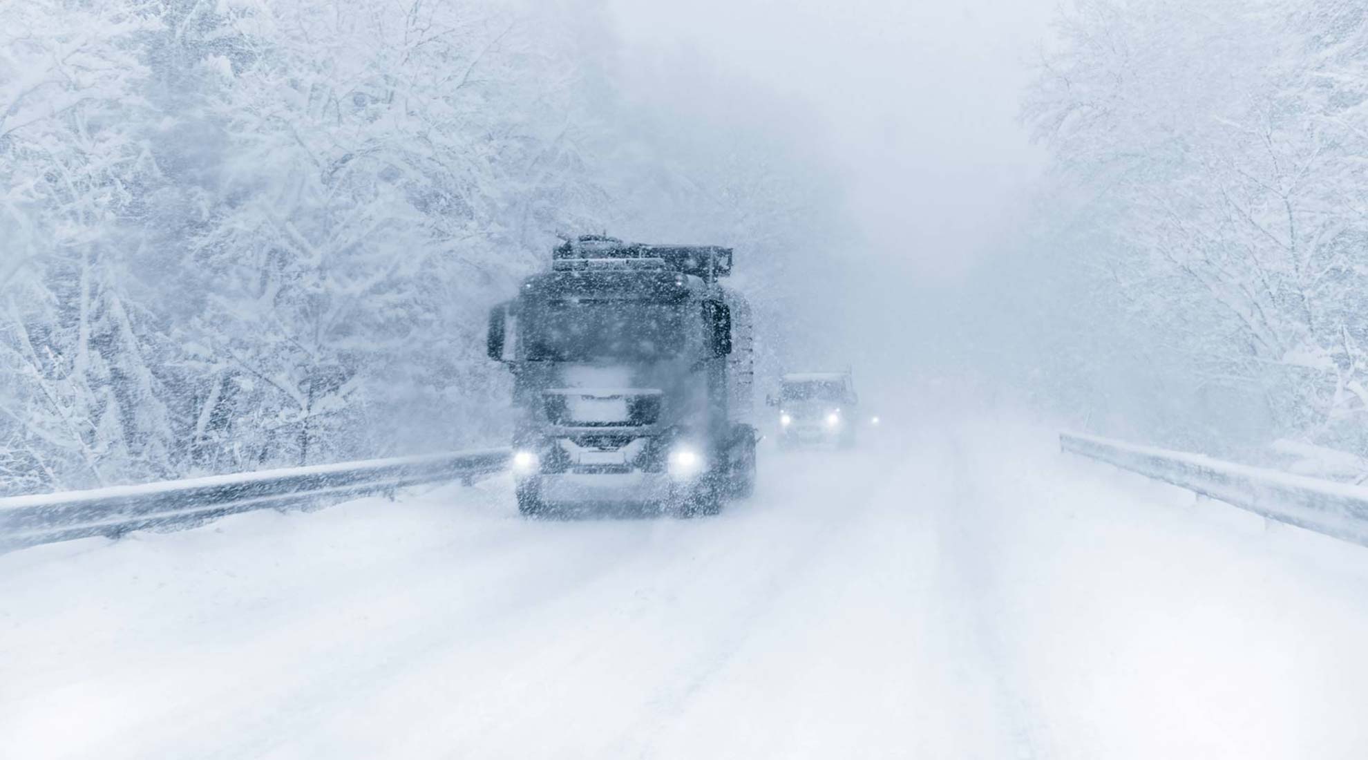 trygg_ketjut_1980 (6)