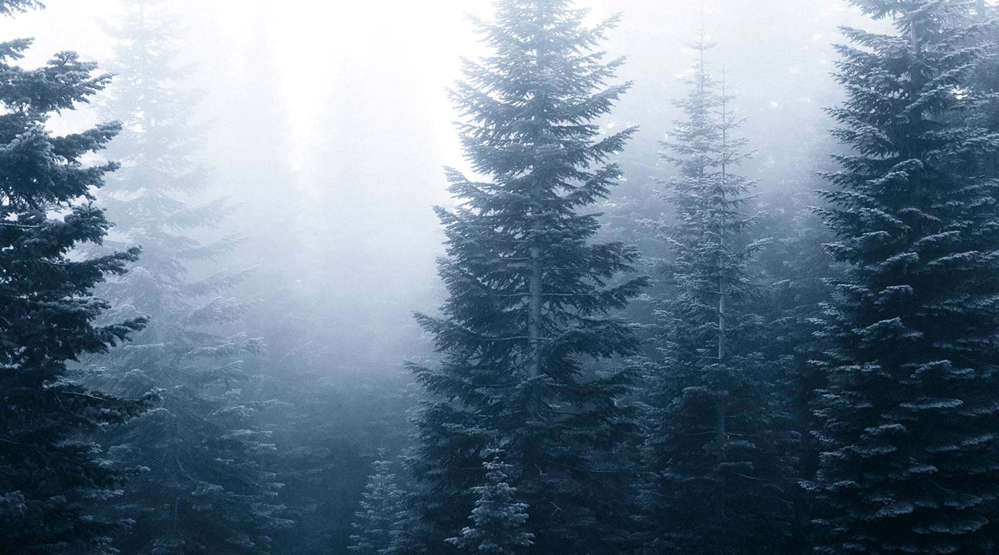 trygg_ketjut_1980 (8)